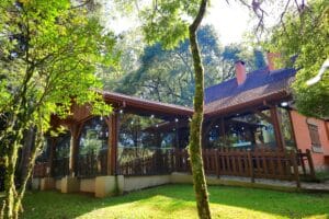 {"source_type":"hypic","data":{"product":"retouch","filterId":"7371435508095783425","enter_from":"enter_launch","imageEffectId":"","os":"ios","activityName":"","infoStickerId":"","playId":"","appversion":"5.9.0","stickerId":"","pictureId":"A9AD628B-69B4-4AD1-95D3-921E4304E5BF"},"tiktok_developers_3p_anchor_params":"{"capability_extra_v2":{"filter":[{"resource_id":"7371435508095783425","origin":"loki","effect_id":"316829789"}]},"client_key":"awgvo7gzpeas2ho6","filter_id":["316829789"],"capability_key":["filter","edit"],"template_id":""}"}