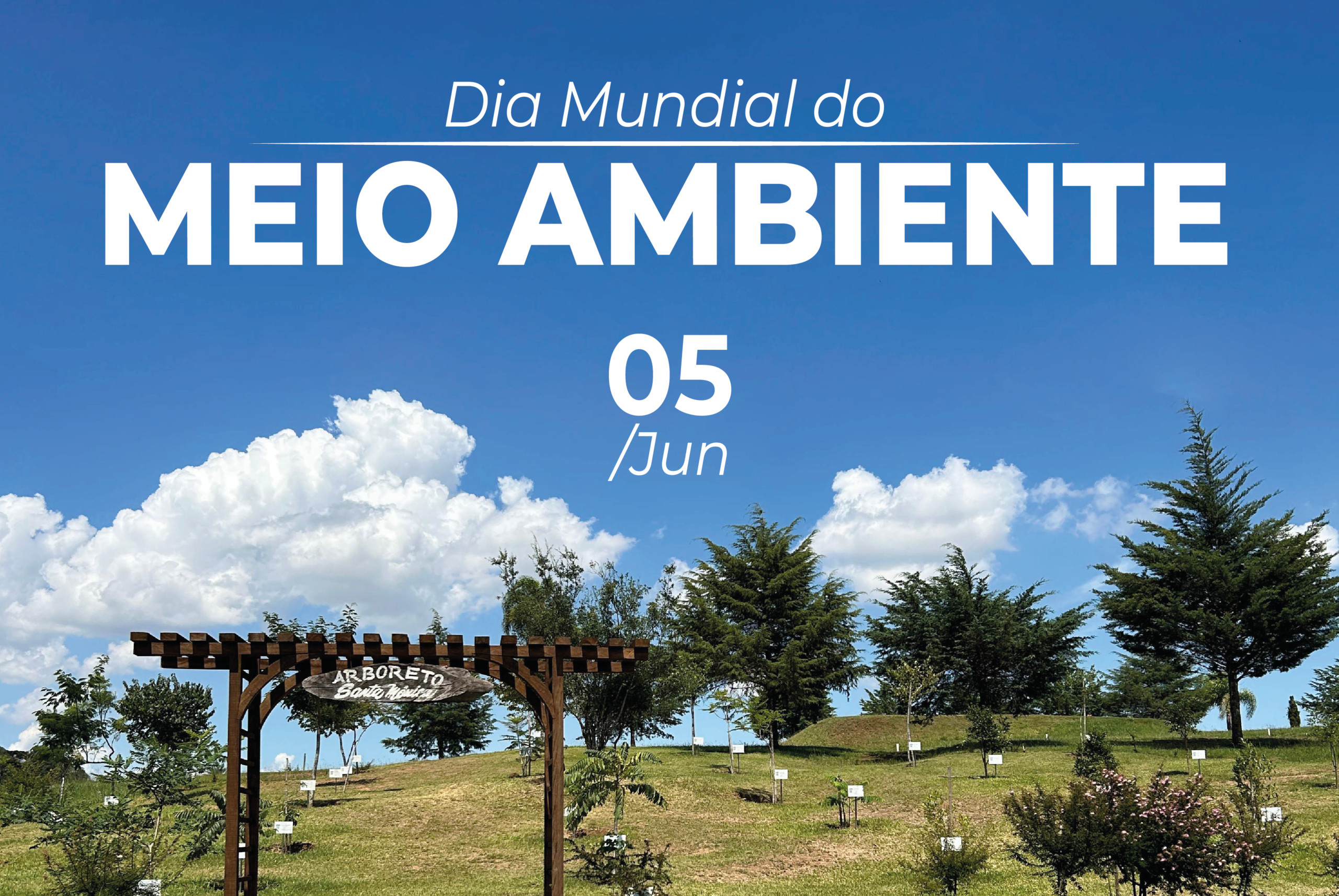 Santa Mônica celebra o Dia Mundial do Meio Ambiente com destaque à preservação de árvores nativas