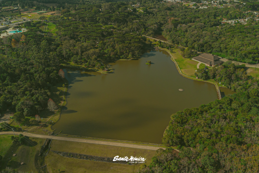 Refloresta Santa fortalece a recuperação ambiental