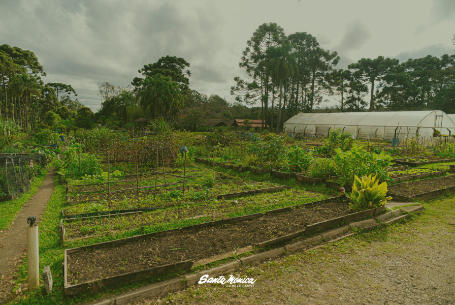 Horta do Santa Mônica cultiva o ano inteiro