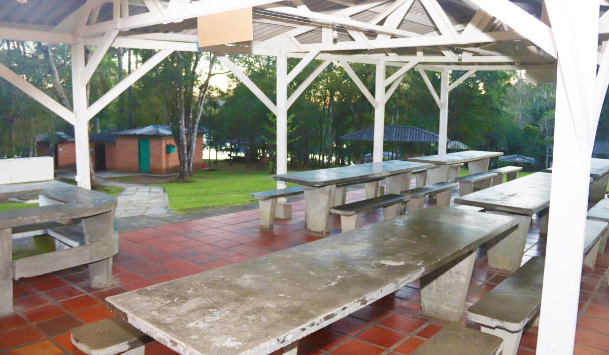 Coletivas do Bosque 1 e 2 4